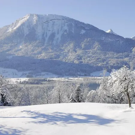 Am Buchberghof *