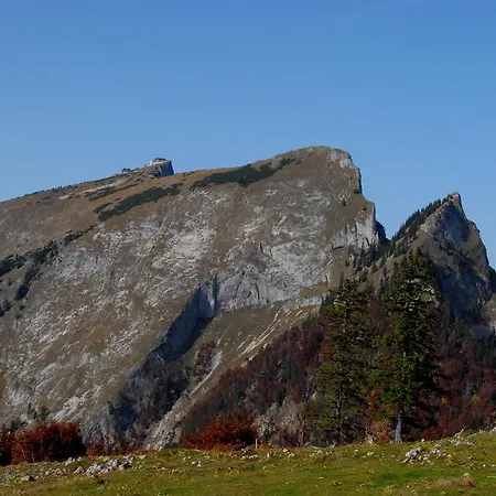 Am Buchberghof *