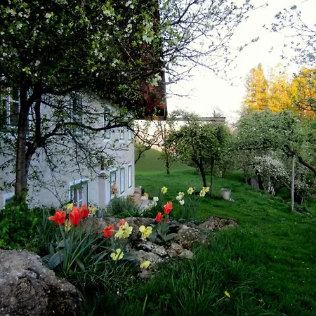 Am Buchberghof * Sankt Wolfgang im Salzkammergut